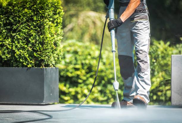 Best Dumpster Area Cleaning  in Wheatland, CA